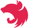 NestJs